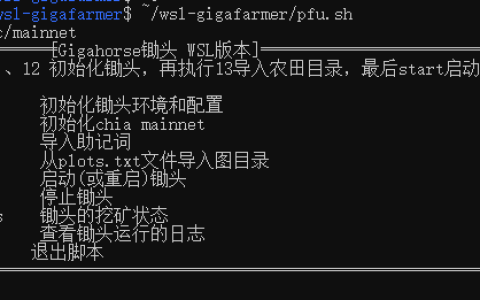 Win系统用wsl运行mmx的奇亚的锄头